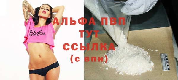 сатива Каменск-Шахтинский