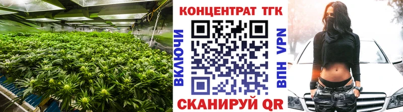 Купить закладки  Питкяранта  ТГК вейп с тгк 