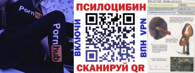 Галлюциногенные грибы Magic Shrooms  Купить закладки  Питкяранта 